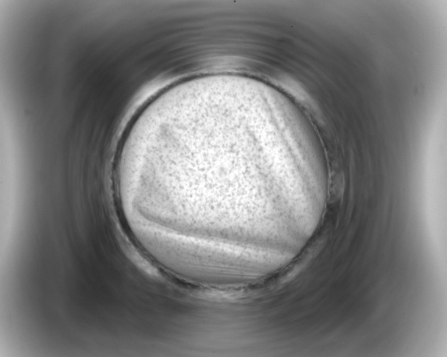 X0000086051086200704091205