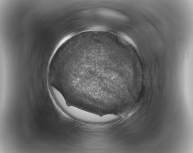 X0000086051087200704091205