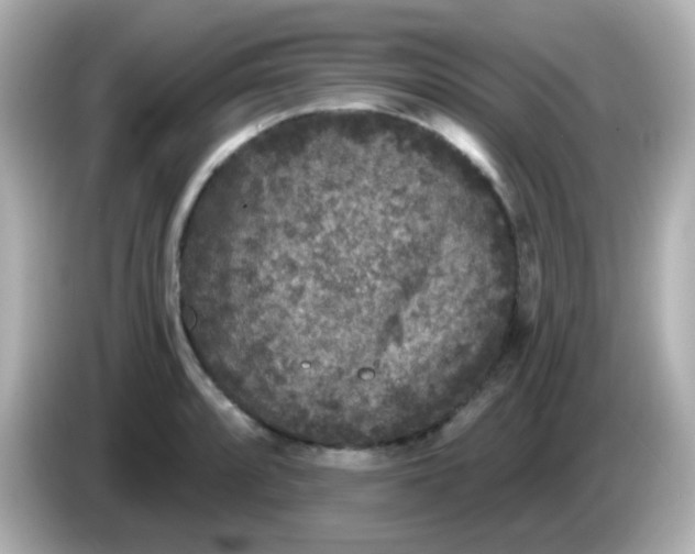X0000086051088200704091205