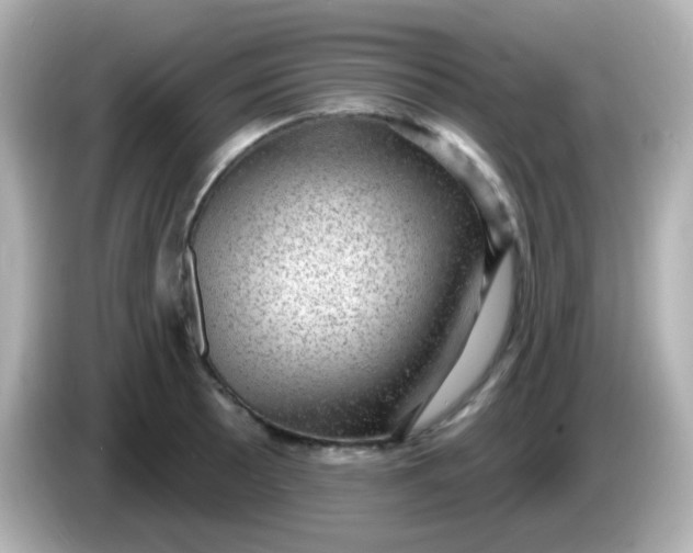 X0000086051089200704091205