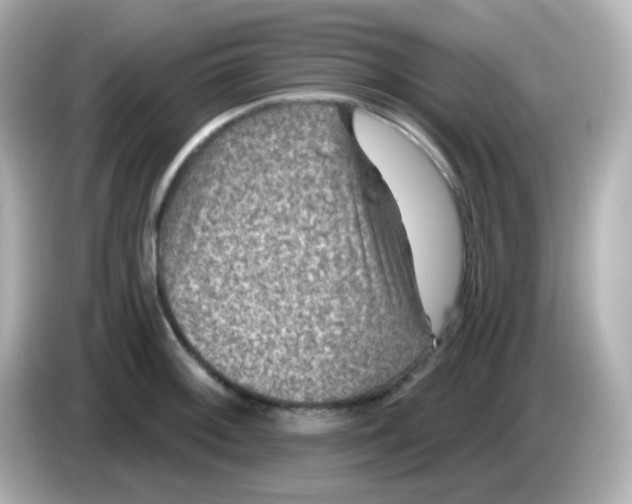 X0000086051092200704091205
