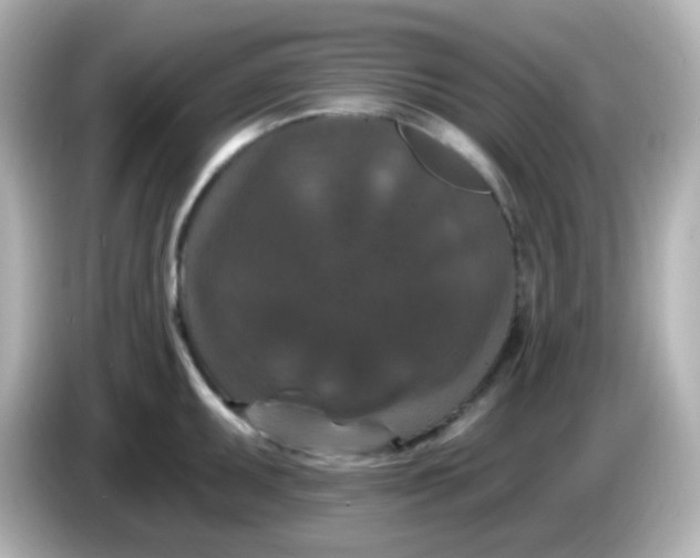 X0000086051095200704091205