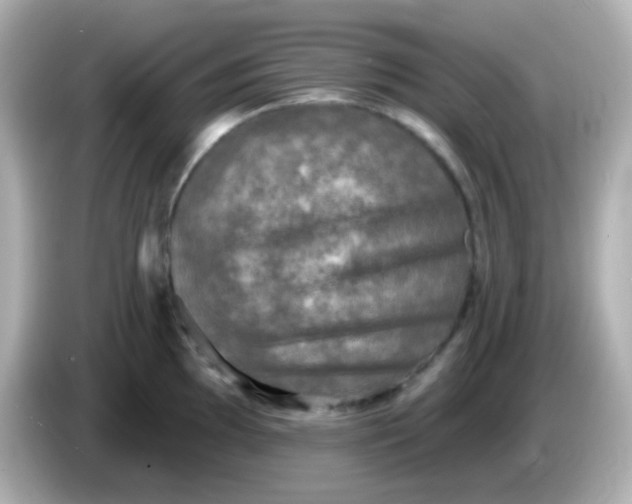 X0000086051097200704091205