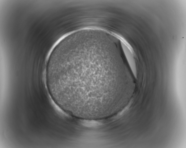 X0000086051100200704091205