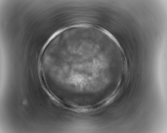 X0000086051101200704091205