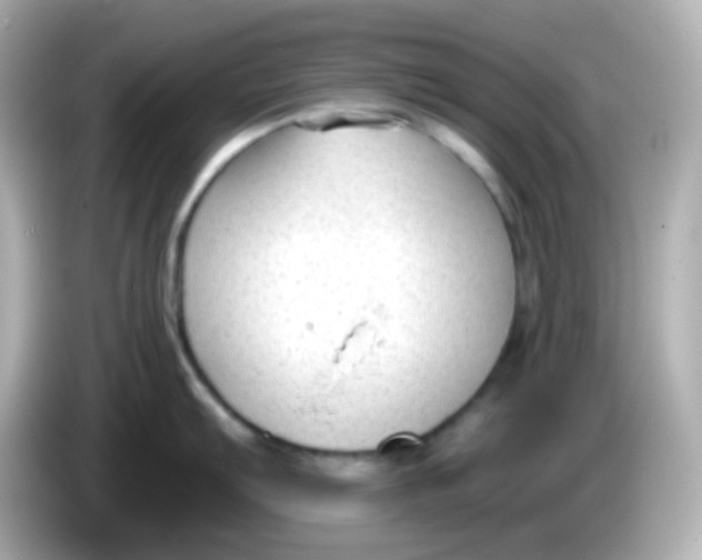 X0000086051103200704091205