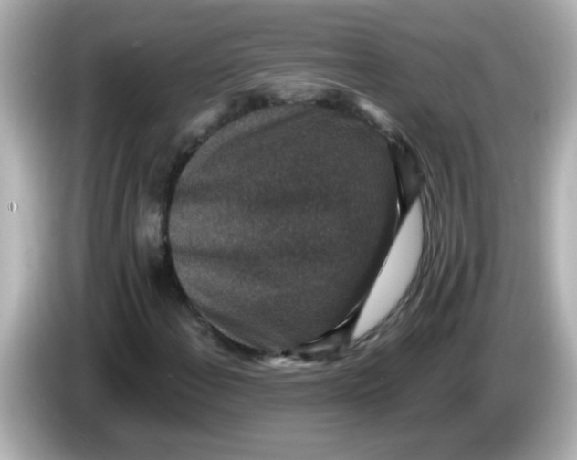 X0000086051108200704091204