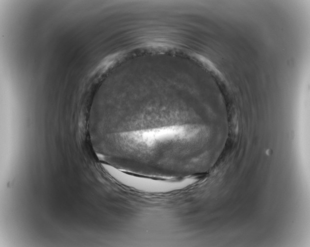 X0000086051110200704091204