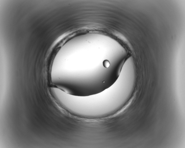 X0000086051114200704091204