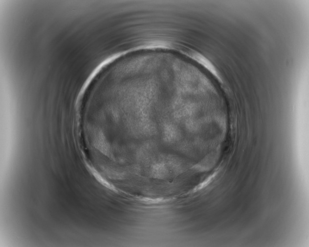 X0000086051116200704091204