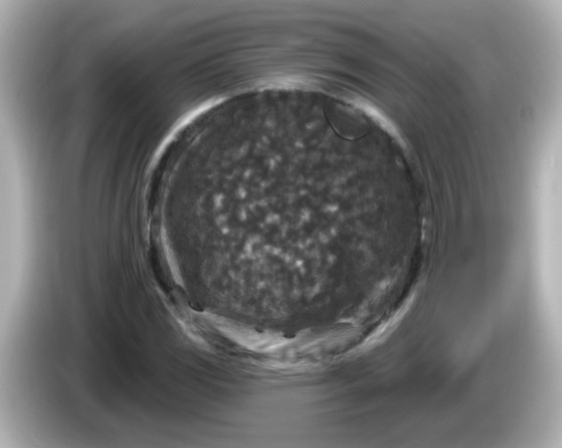 X0000086051117200704091204