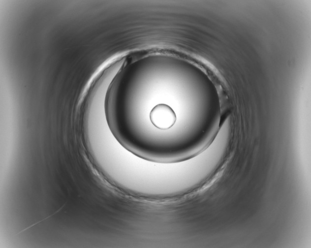X0000086051118200704091204