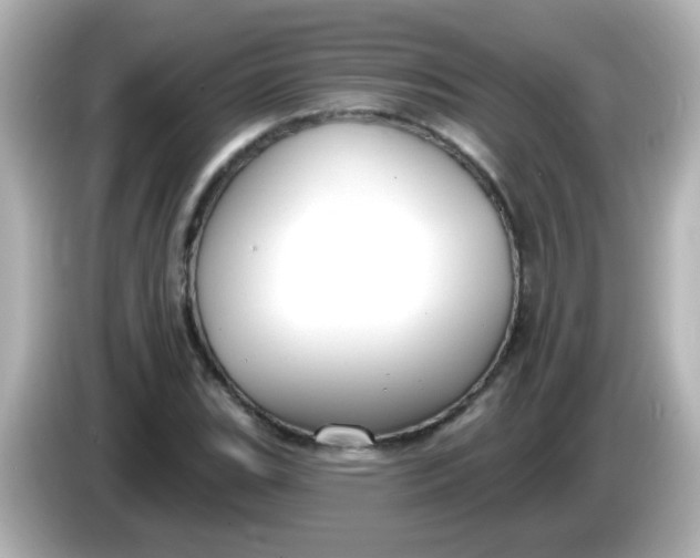 X0000086051119200704091204