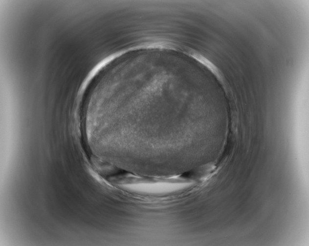 X0000086051120200704091204