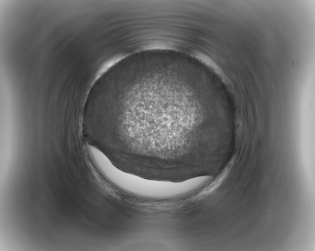 X0000086051121200704091204