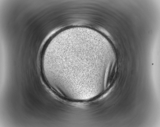 X0000086051122200704091204