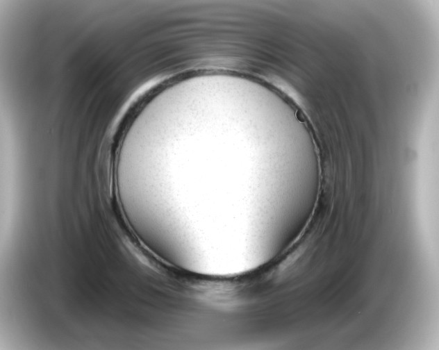 X0000086051123200704091204