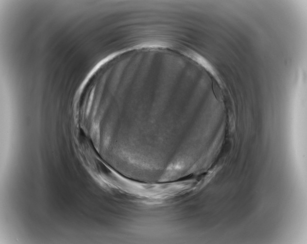X0000086051124200704091204