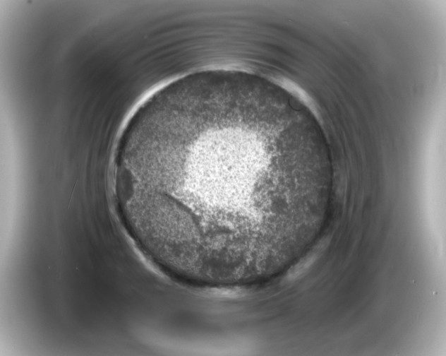 X0000086051125200704091204