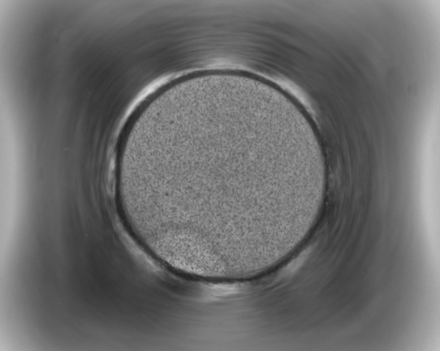 X0000086051126200704091204