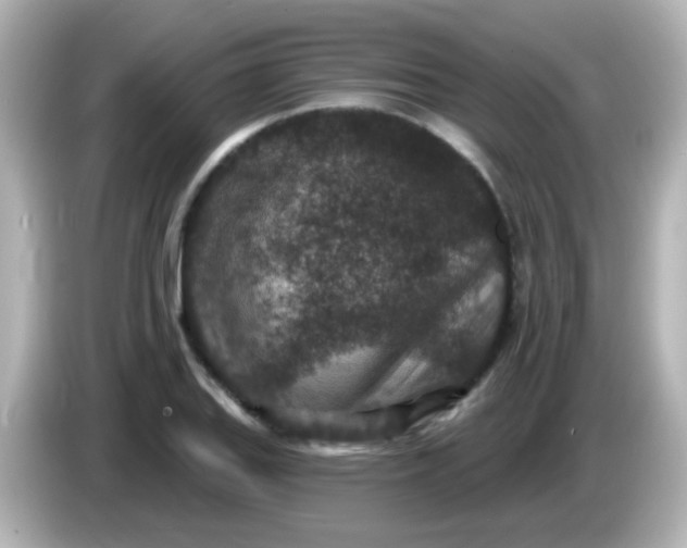 X0000086051127200704091204