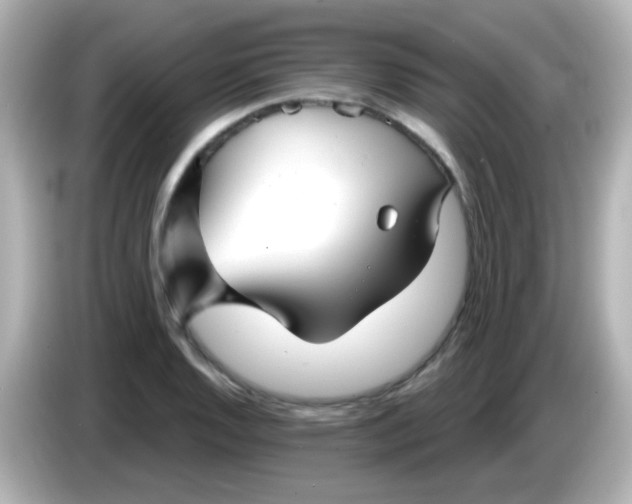 X0000086051128200704091204