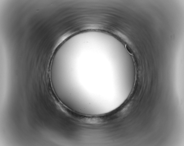 X0000086051129200704091205