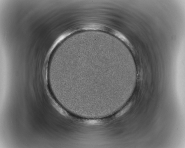 X0000086051130200704091205