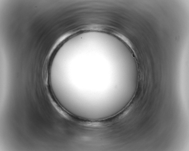 X0000086051131200704091205