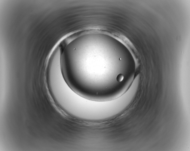 X0000086051132200704091205
