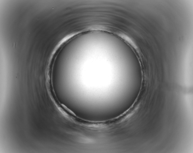 X0000086051133200704091205