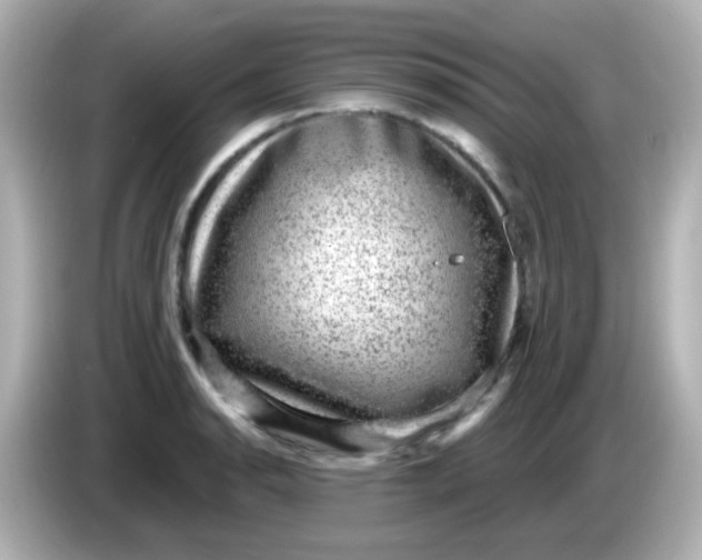 X0000086051134200704091205