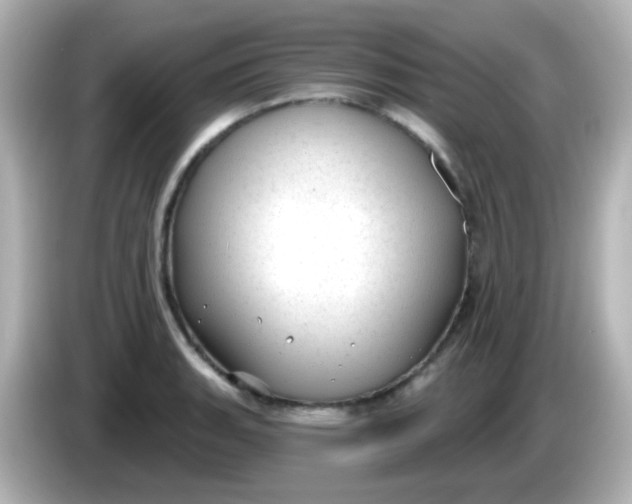 X0000086051135200704091205