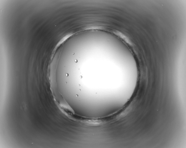 X0000086051137200704091205