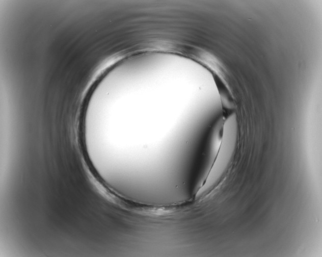 X0000086051139200704091205