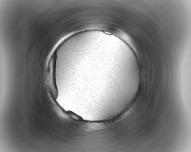 X0000086051140200704091205