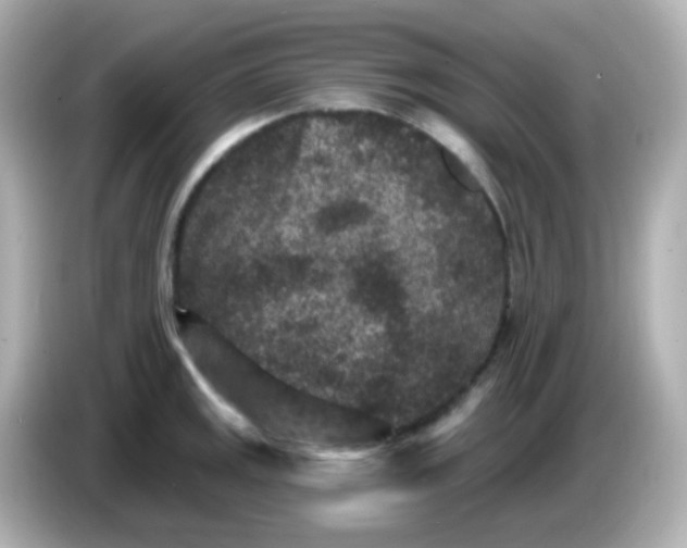 X0000086051141200704091205