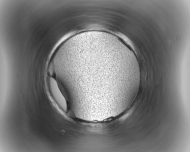 X0000086051142200704091205