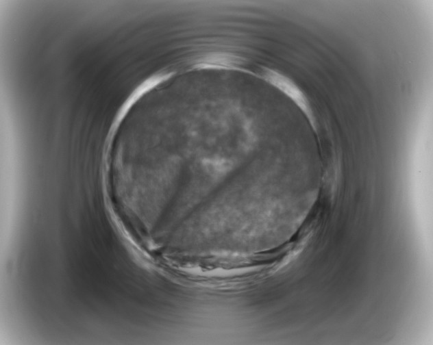 X0000086051146200704091205