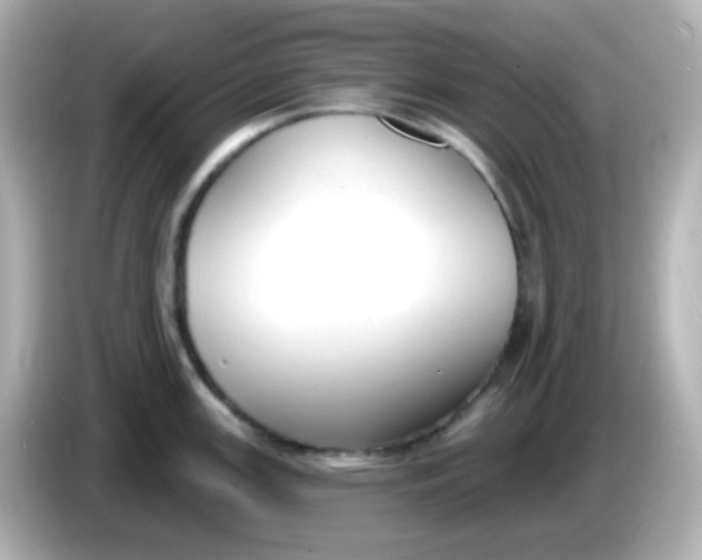 X0000086051147200704091205