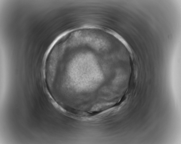X0000086051148200704091205