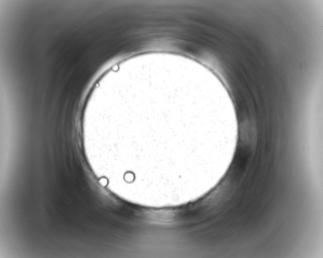 X0000086051150200704091205