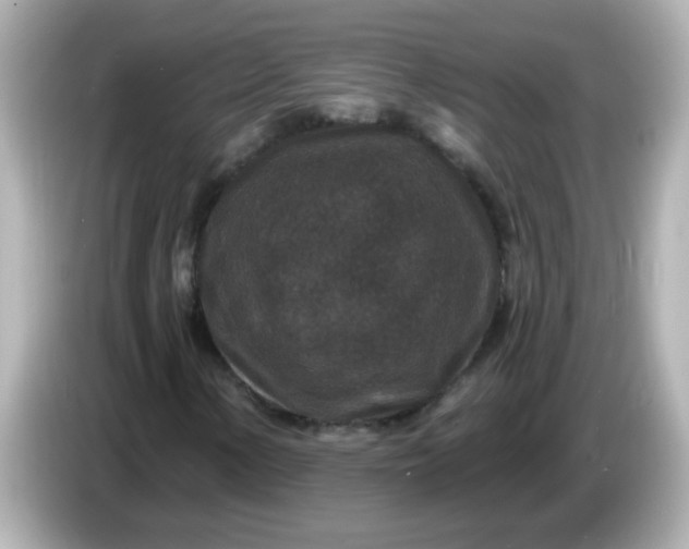 X0000086051154200704091204