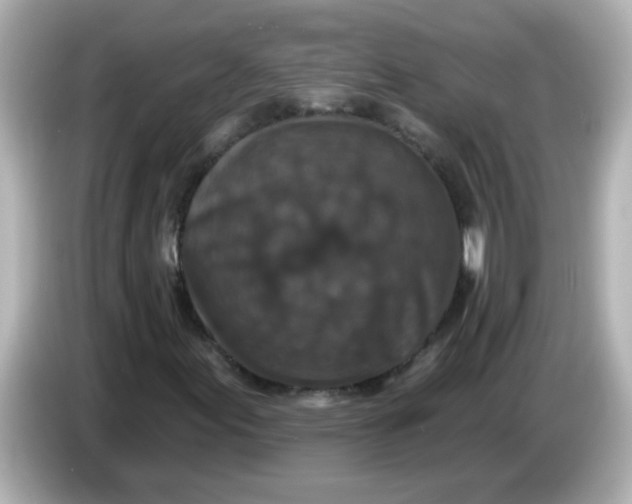X0000086051155200704091204
