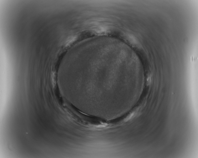 X0000086051156200704091204