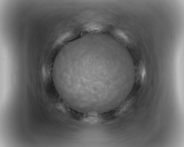 X0000086051157200704091204