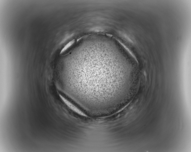 X0000086051158200704091204