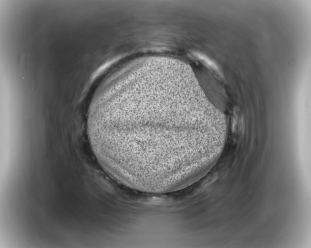 X0000086051160200704091204