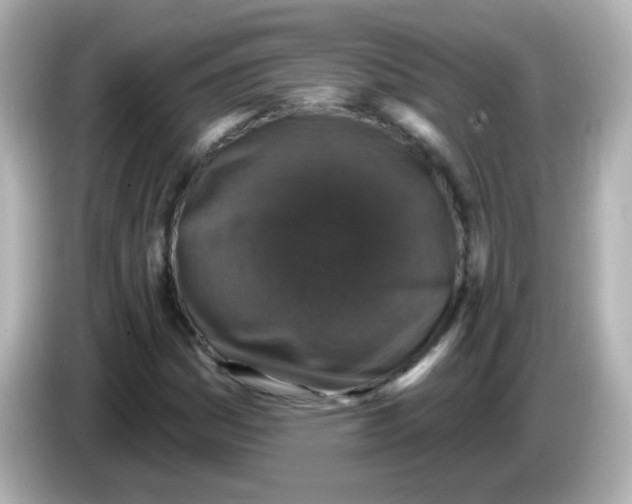 X0000086051161200704091204