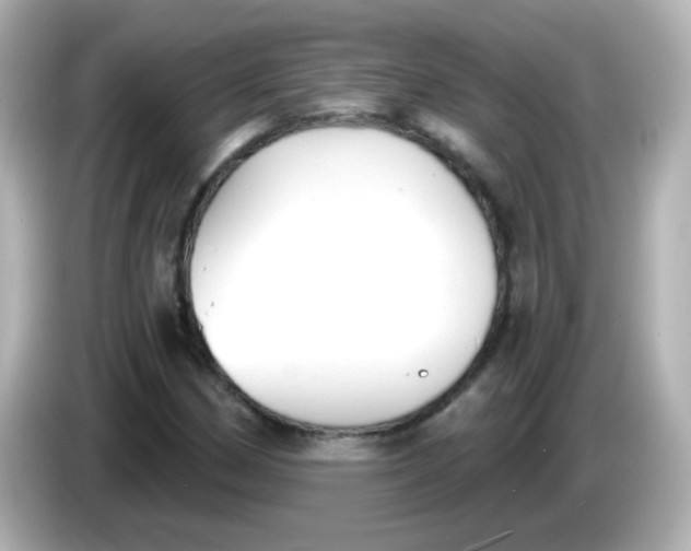 X0000086051162200704091204